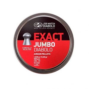 JSB Exact Jumbo .22