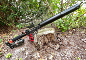 DonnyFL Edgun Leshiy 2 Shroud Kit 350mm installed on airgun